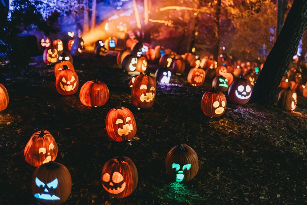 Group of glowing carved pumpkins in a pumpkin patch, setting the Halloween mood for Cheltenham events